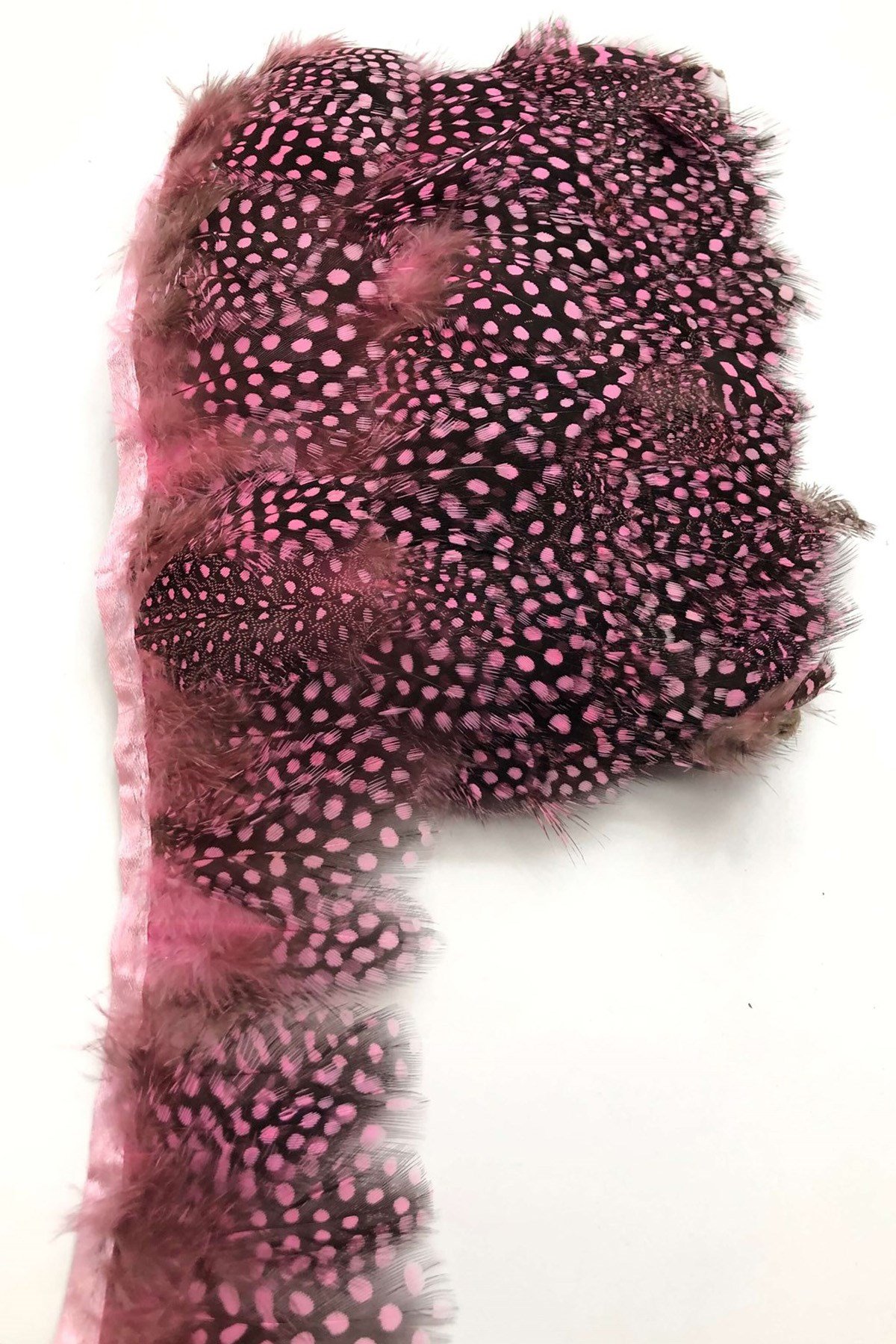 Pembe Puantiyeli Gine Tavugu Tüyü 1 mt