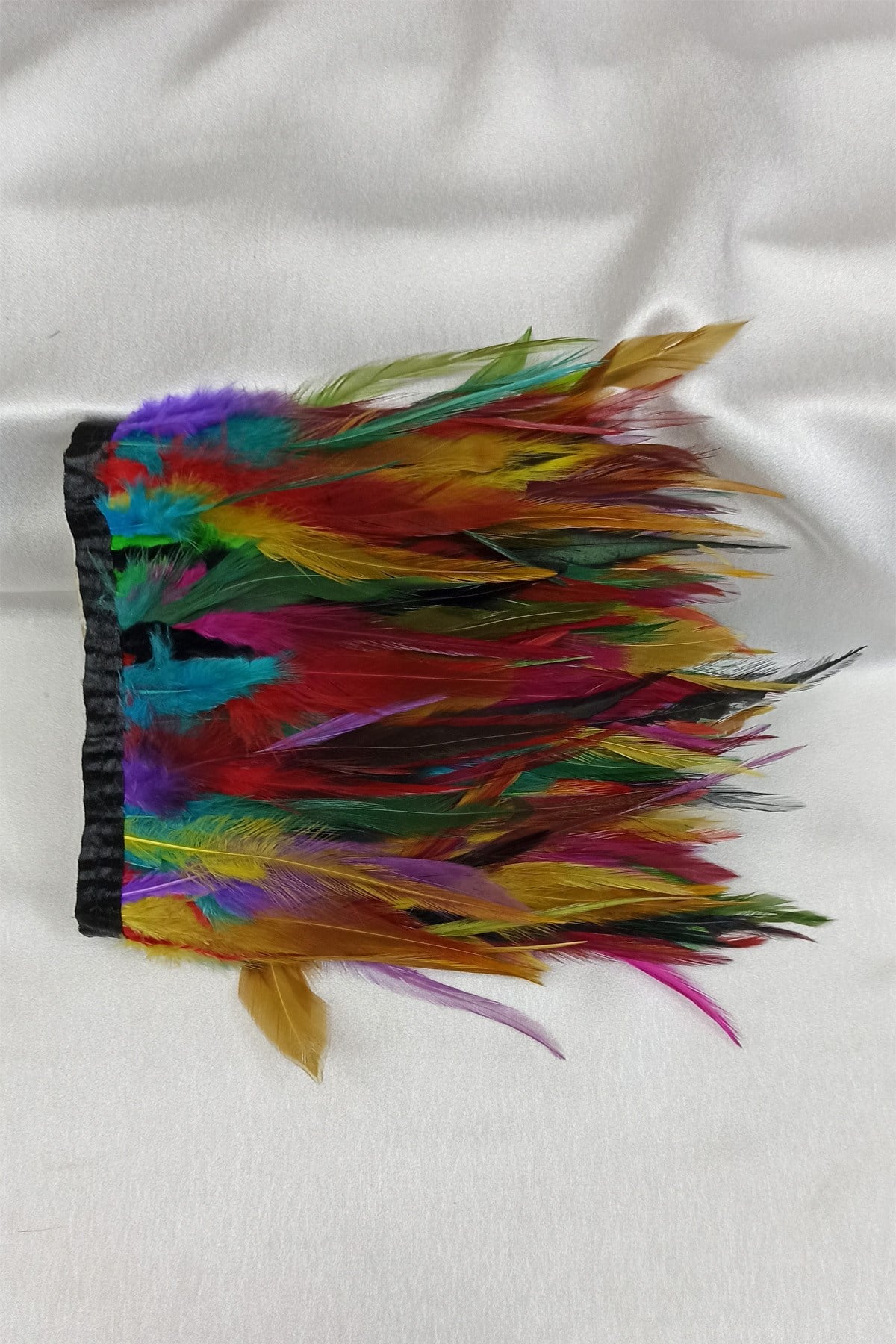 Colorful Rooster Feather