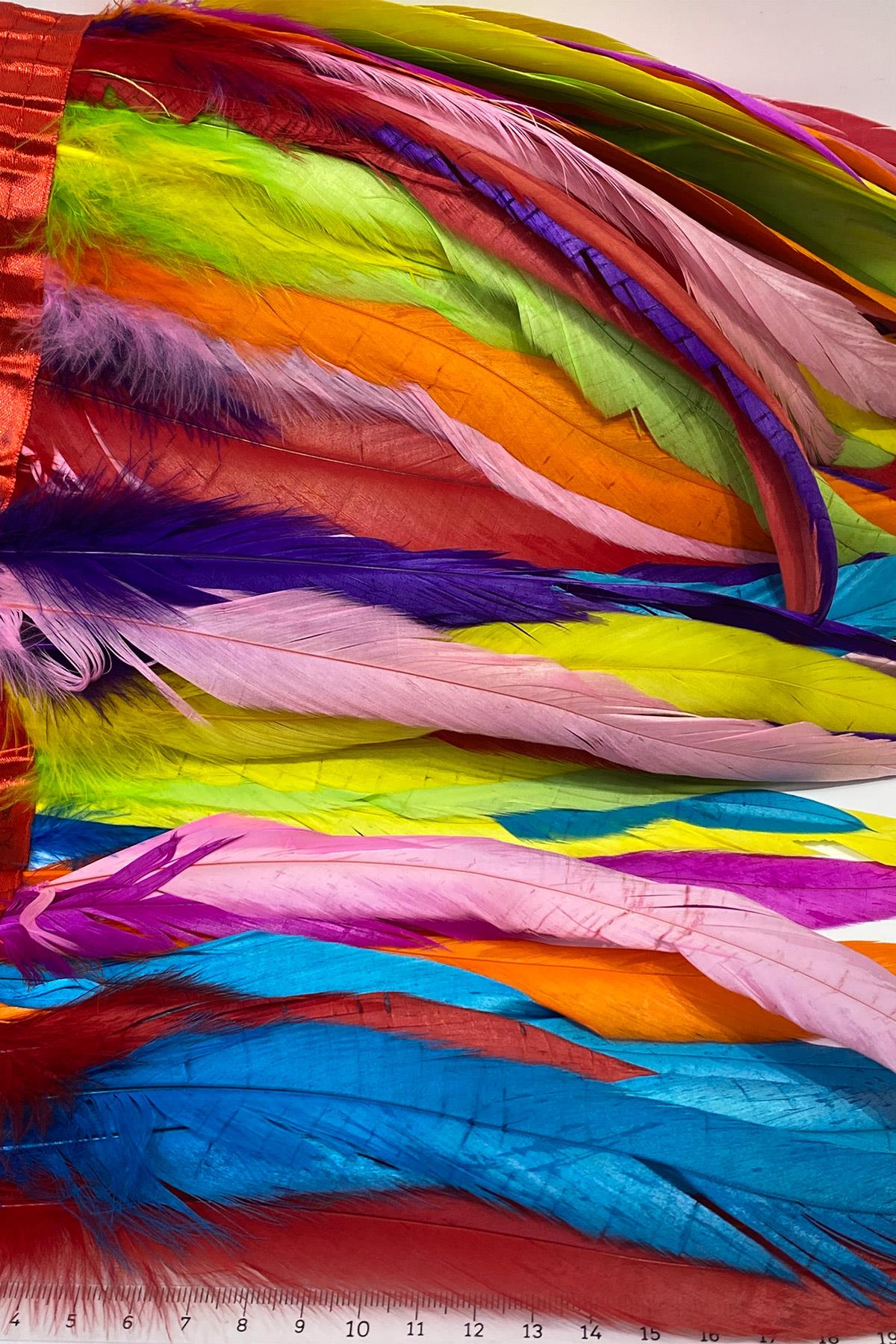  Colorful Long Chandelier Feather