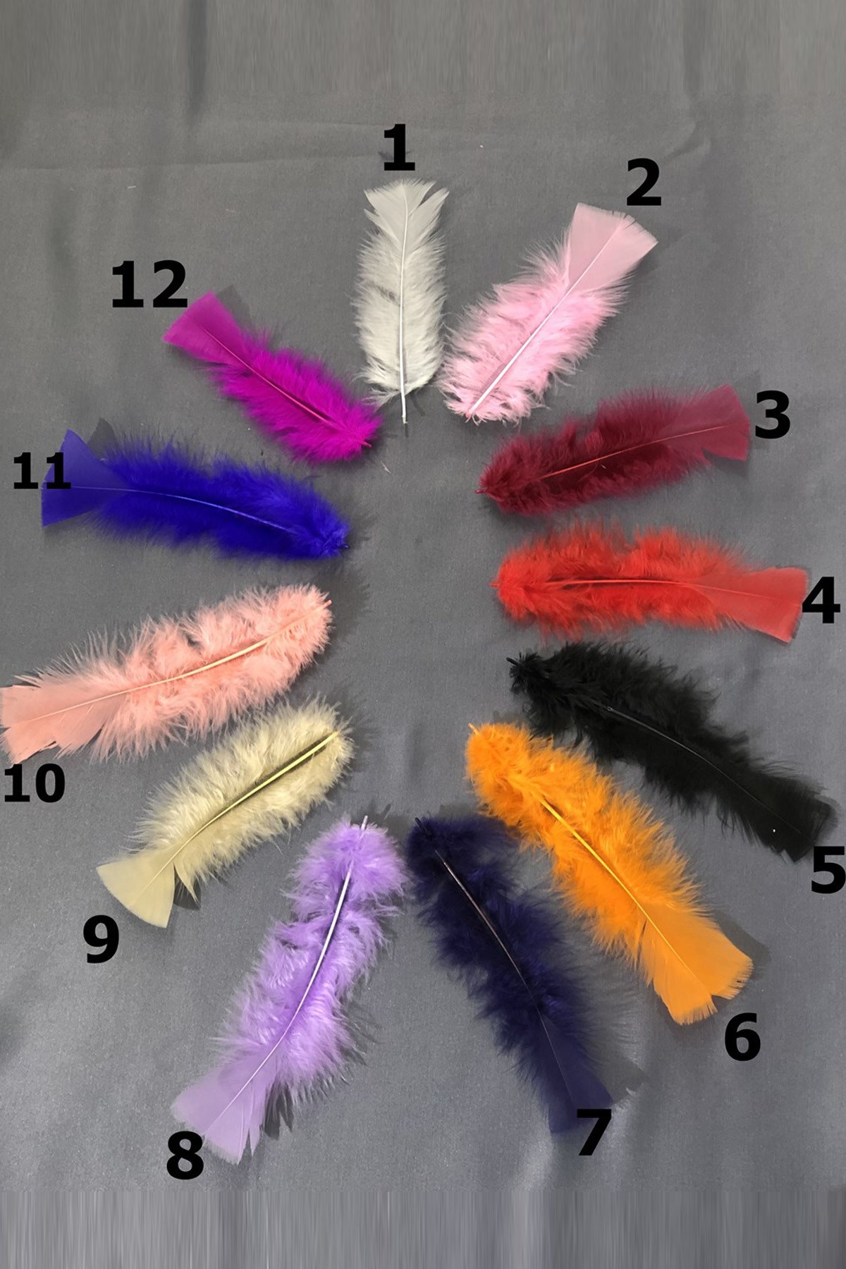 Renkli Tek Tüy  (10 adet)