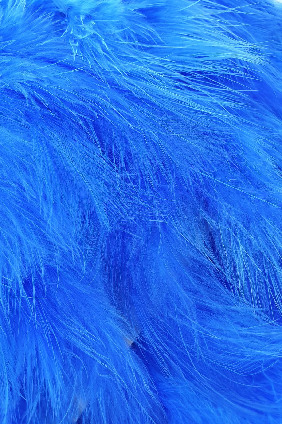 Sax Blue Maya Feather