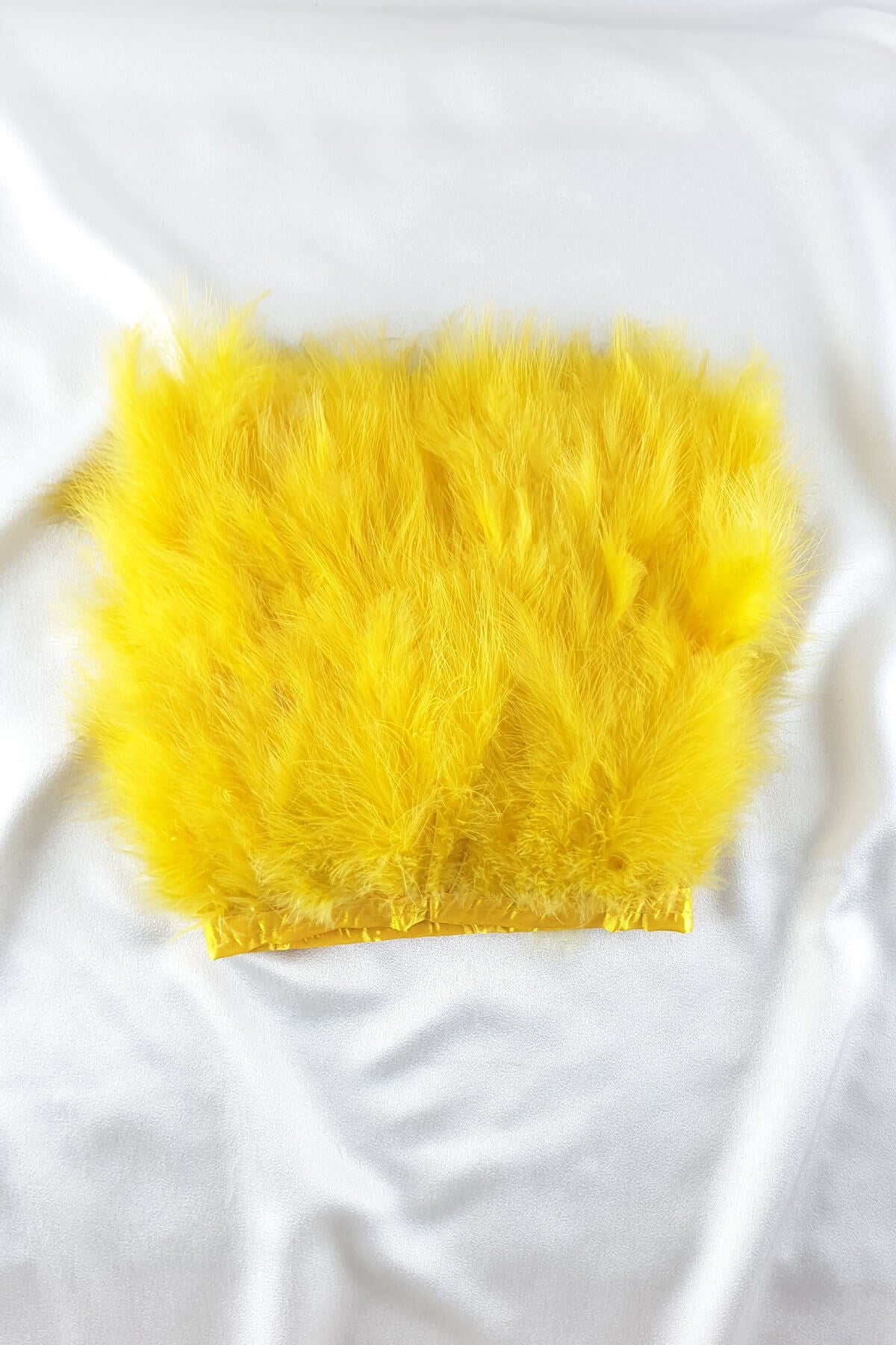 Yellow Yeast Feather