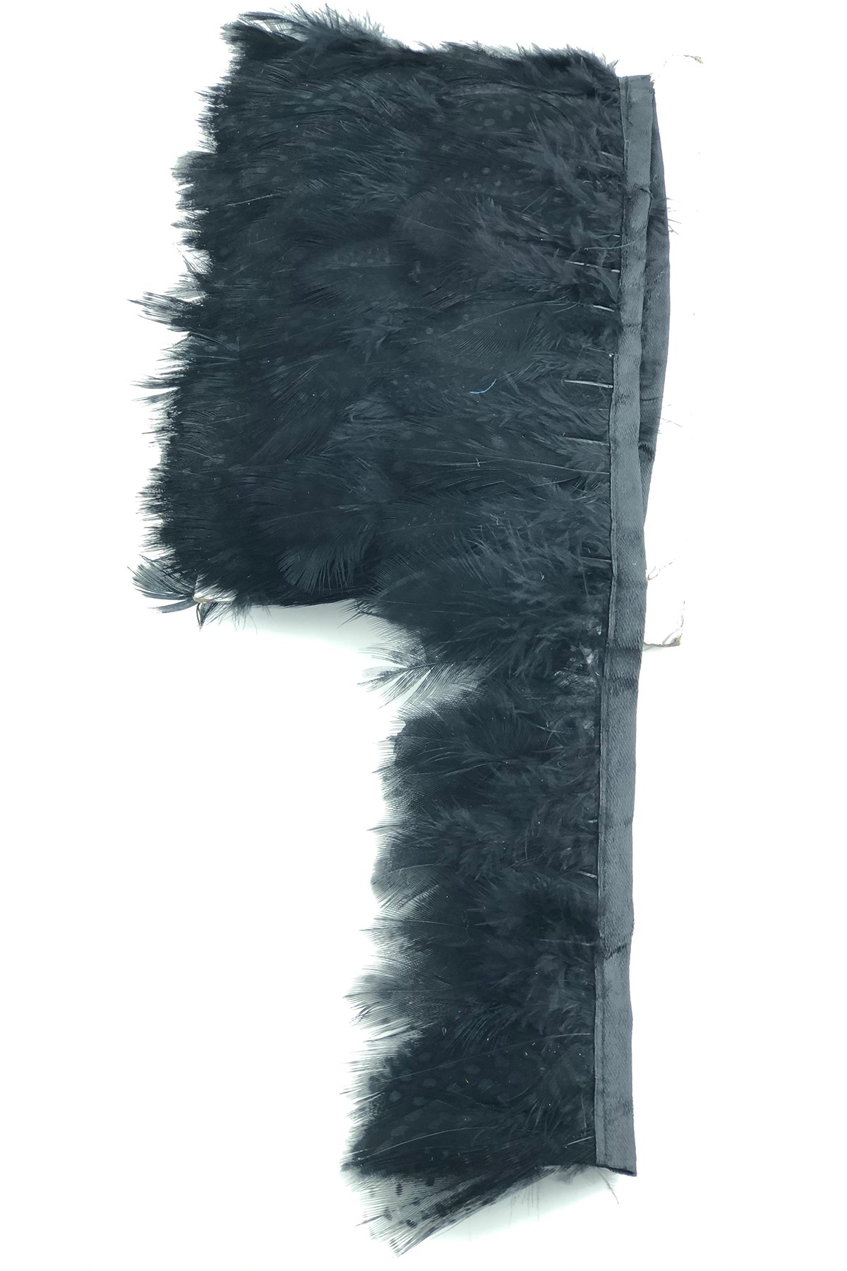 Black Spotted Guinea Chicken Feather