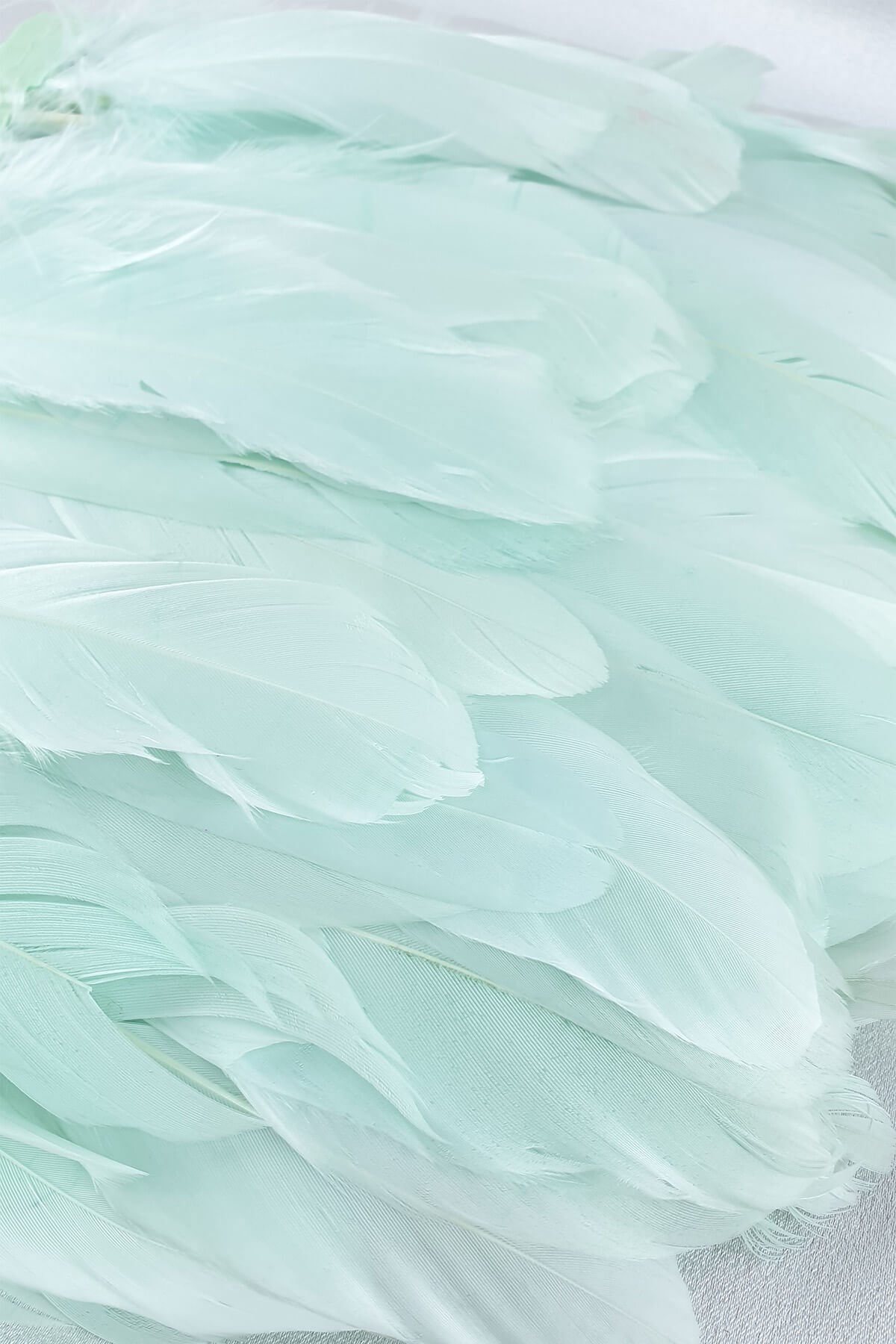 Su Yeşili Kartal Tüyü