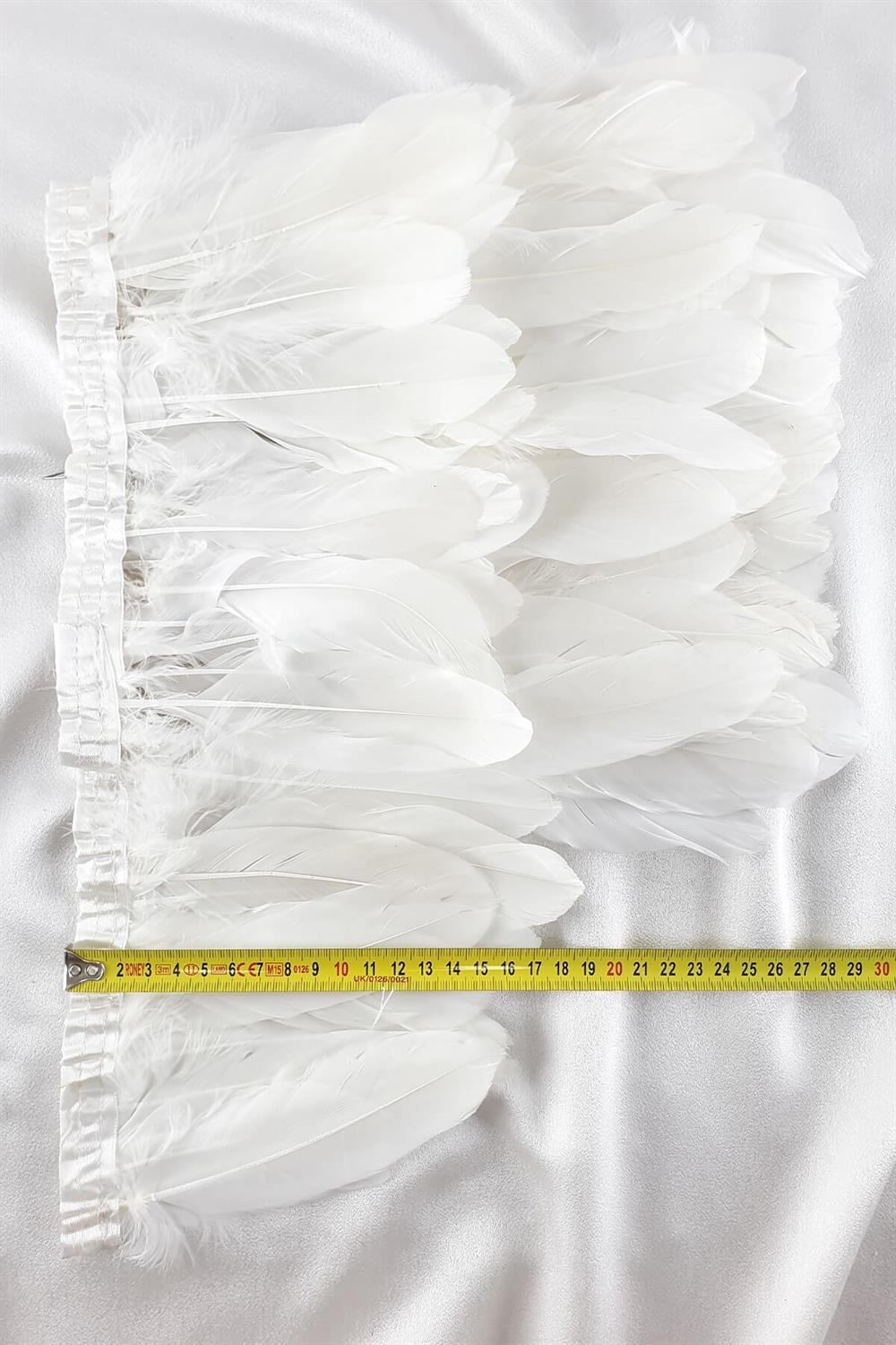 الجملة ريشة النسر الأبيض