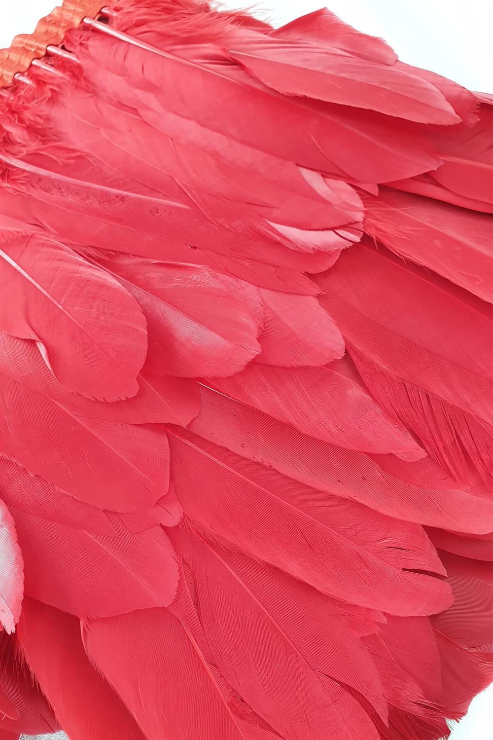 Toptan Kırmızı Kartal Tüyü