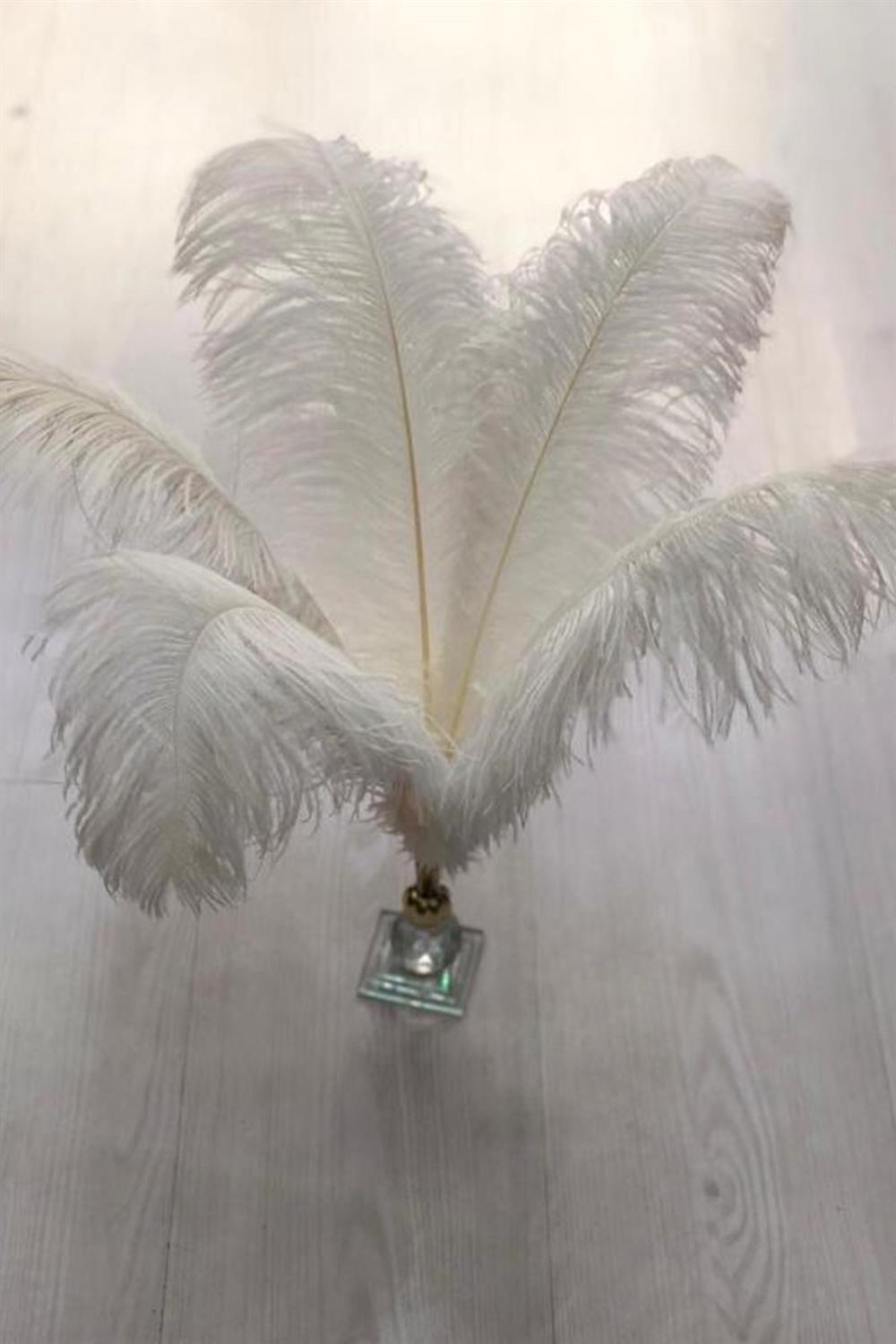 الجملة ريش نعام كريمي 45-50 سم 1 قطعة