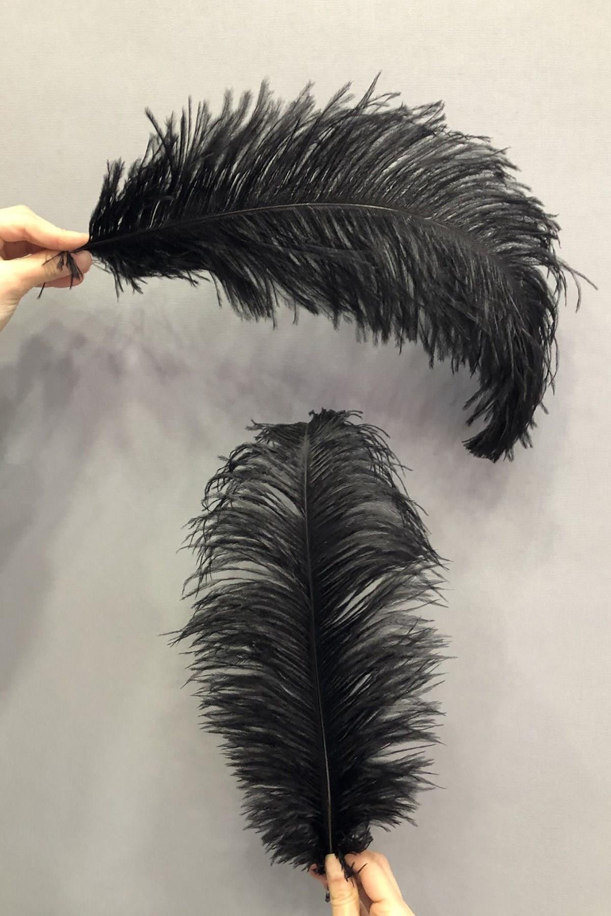 Wholesale Black Ostrich Feather 45-50 cm 1 piece
