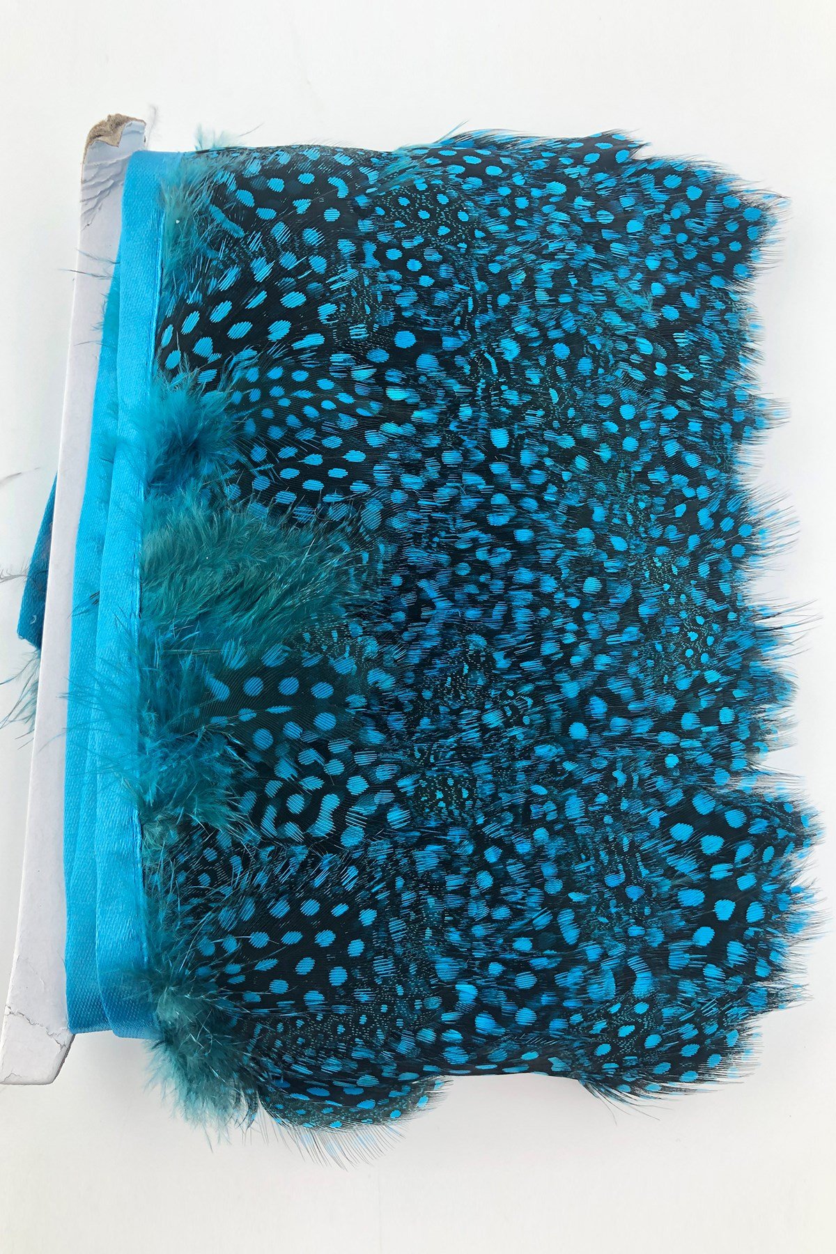 Turquoise Pointed Guinea Chicken Feather
