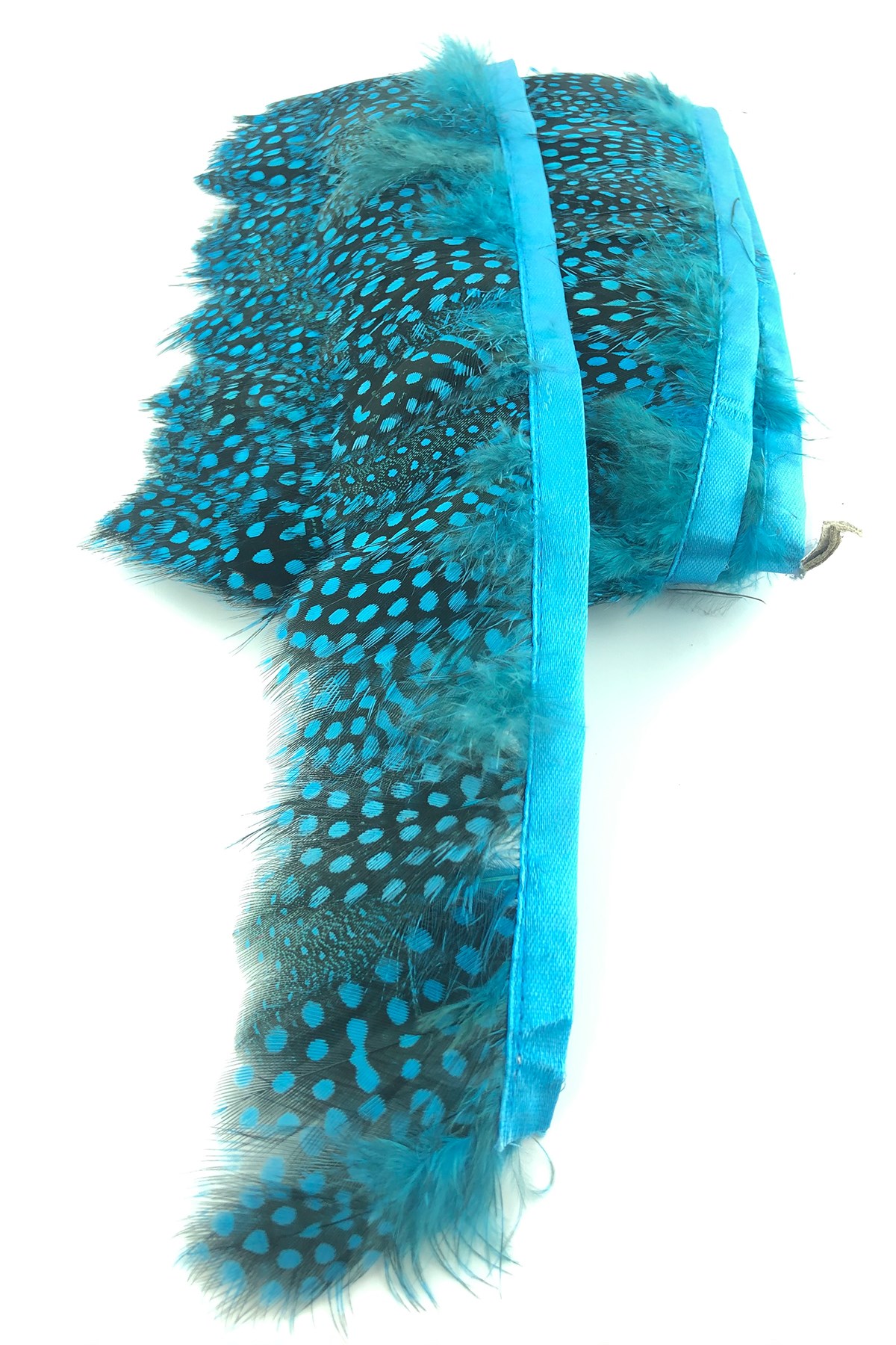 Turquoise Pointed Guinea Chicken Feather