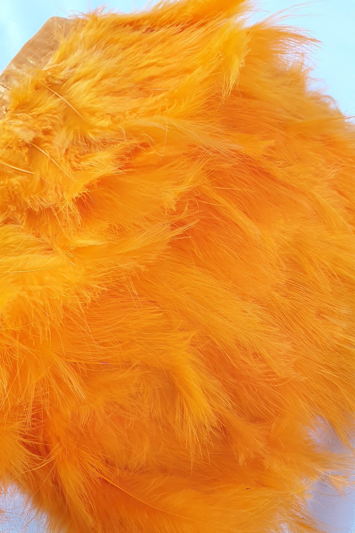 Orange Yeast Feather
