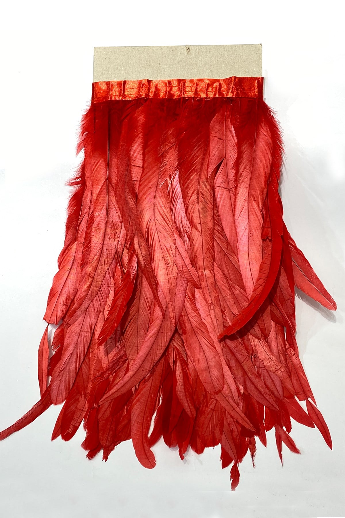 Long Chandel Feather 1 mt