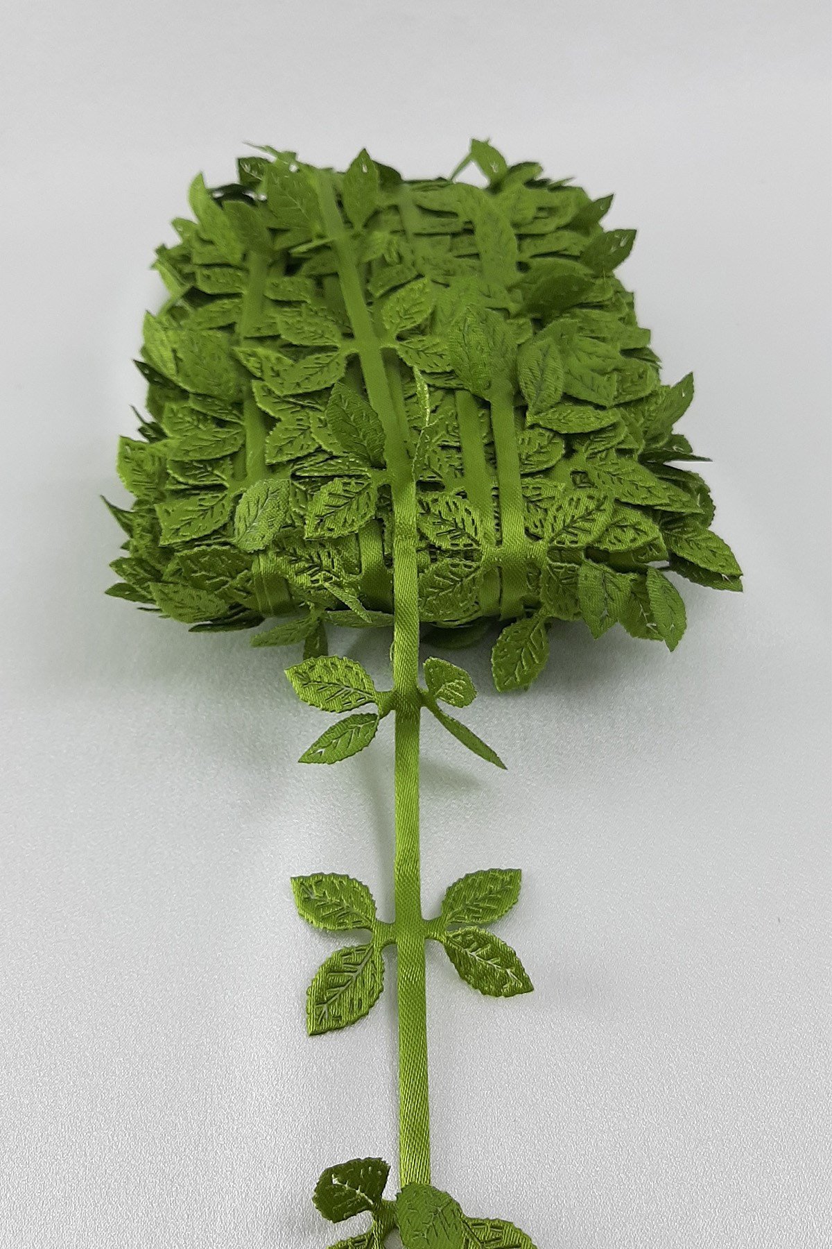 الشريط الأخضر ذو الأوراق المزدوجة