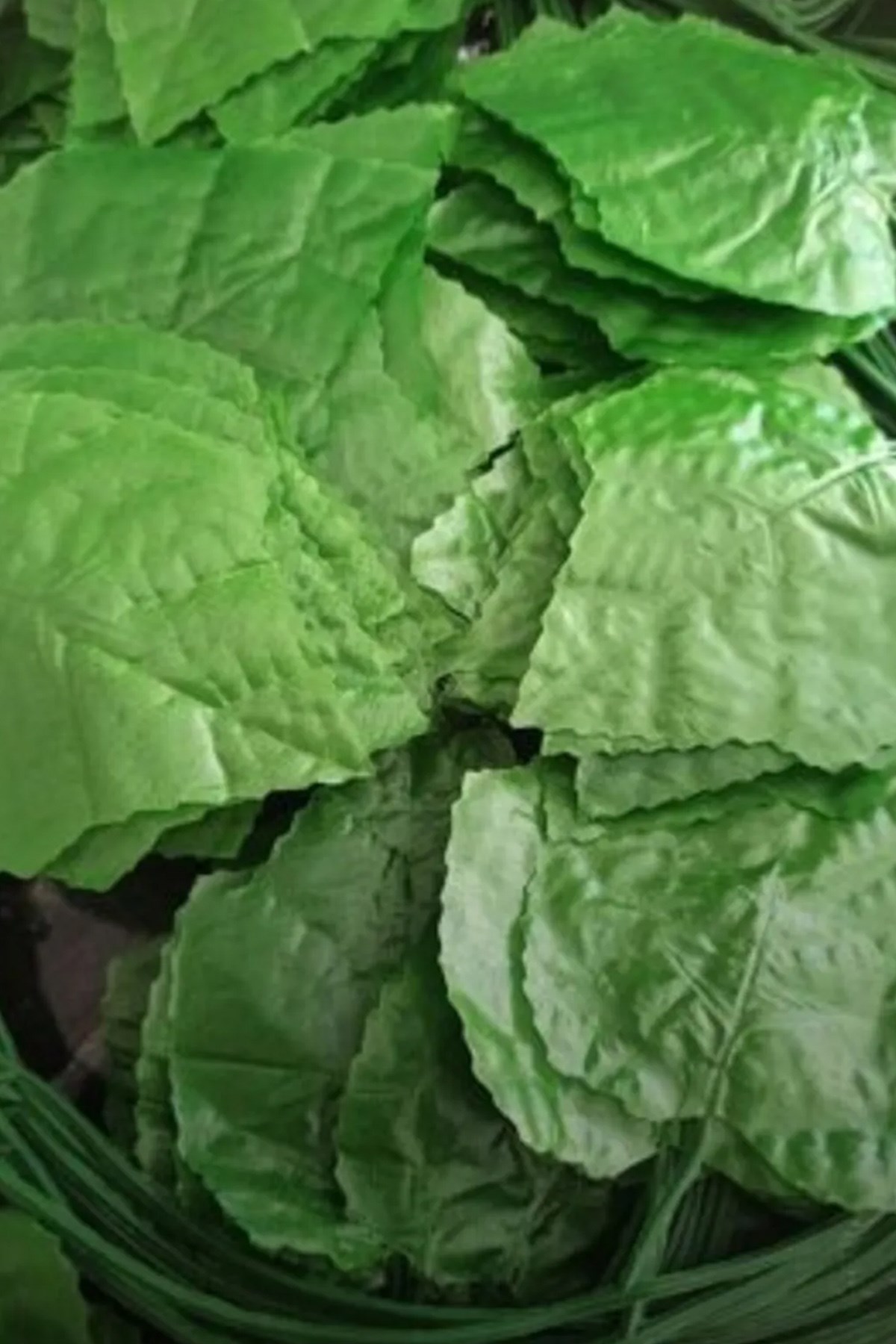 Green Artificial Ivy 12 Pieces 2.00mt