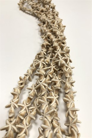 Cream Star Stone Beads