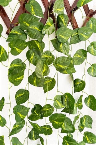 3 Adet Dekoratif Yapay Sarmaşık Sarı Çizgili Yaprak Yapay Çiçek Dekoru 230cm