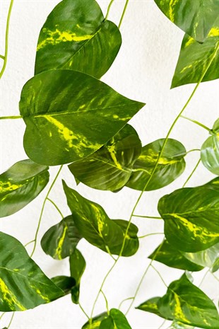 3 Adet Dekoratif Yapay Sarmaşık Sarı Çizgili Yaprak Yapay Çiçek Dekoru 230cm