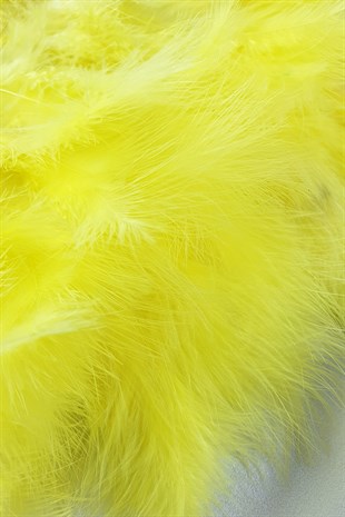 Light Yellow Yeast Feather