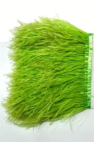 Açık Yeşil Deve Kuşu Tüyü 1 mt
