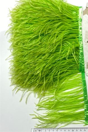Açık Yeşil Deve Kuşu Tüyü 1 mt