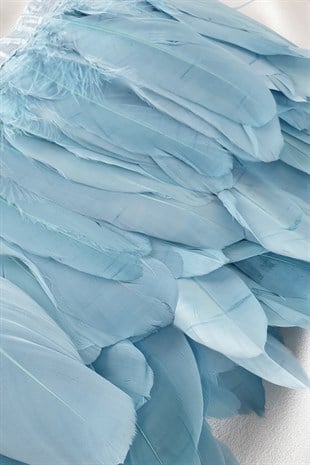 طفل ريش النسر الأزرق