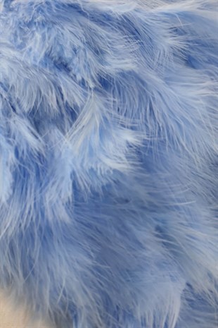 Baby Blue Yeast Feather