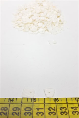 White Patterned Pearlescent Shell
