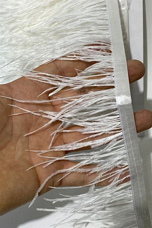 White Ostrich Feather 5 Mt