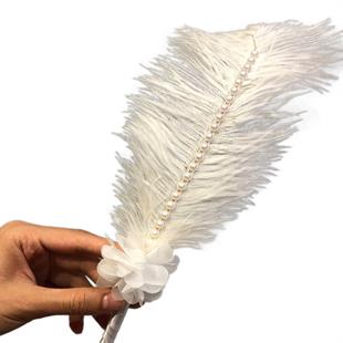 الجملة قلم الريشة البيضاء