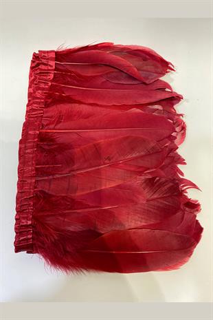 ريشة النسر بورجوندي شريطية