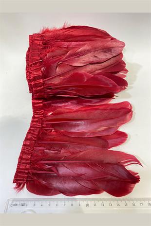 ريشة النسر بورجوندي شريطية