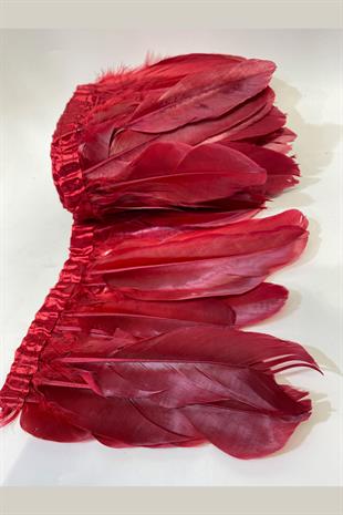 ريشة النسر بورجوندي شريطية