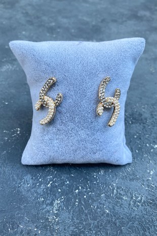 CC Desenli Taşlı İncili Küpe