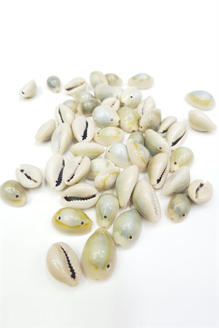 Hollow Hound Bead Shell