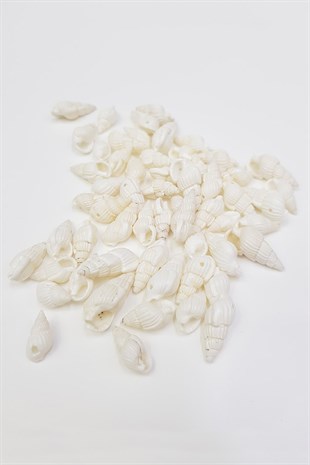 White Oyster Pattern Greyhound Bead Shell