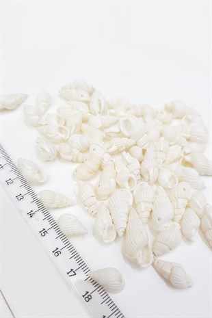 White Oyster Pattern Greyhound Bead Shell