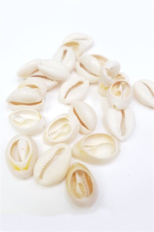 Shell Hound Beads