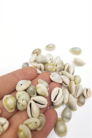 Hollow Hound Bead Shell