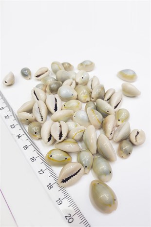 Hollow Hound Bead Shell