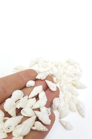 White Oyster Pattern Greyhound Bead Shell