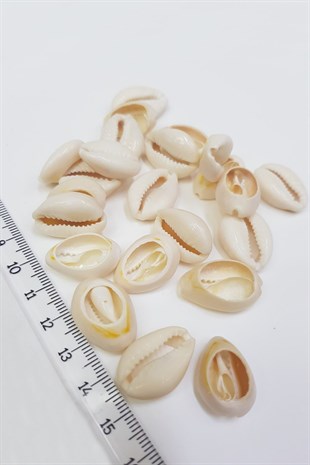 Shell Hound Beads