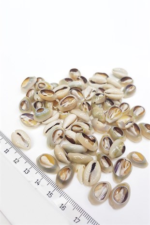Baked Greyhound Bead Shell