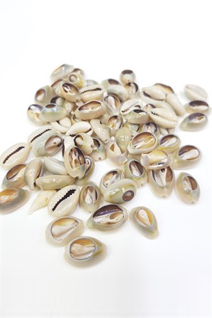 Baked Greyhound Bead Shell