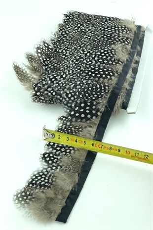 Gri Bej Puanlı Gine Tavugu Tüyü