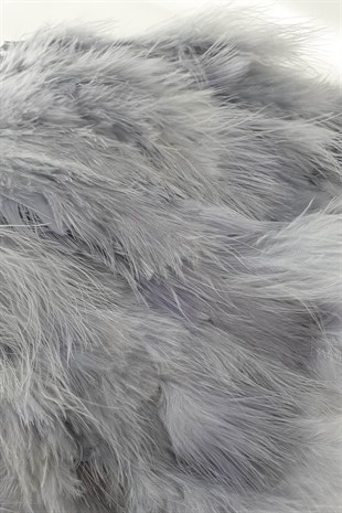 ريش مايا رمادي