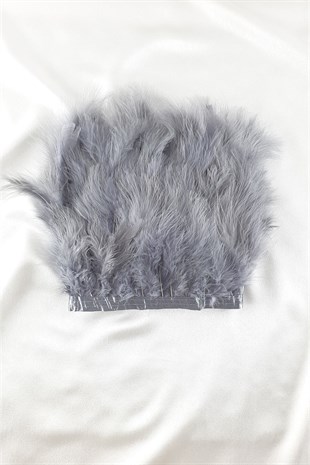 ريش مايا رمادي