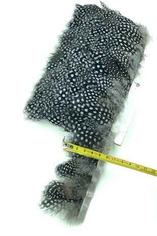 Gray Black Polka Dot Guinea Chicken Feather
