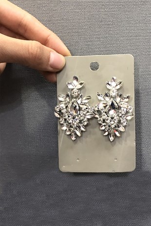 Gümüş Taşlı Alhena Küpe