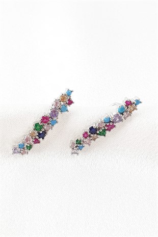 Gümüş Yaprak Desenli Renkli Kıkırdak Küpe