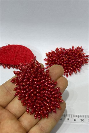 Pearl Bead Embroidered Applique 1 Piece